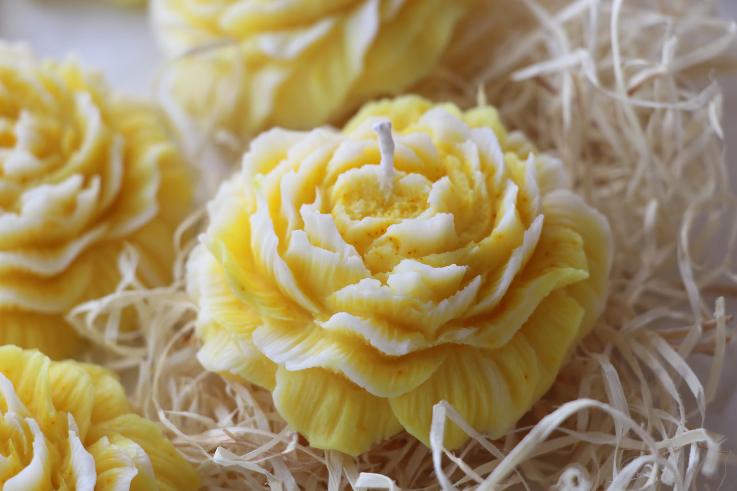 Peony Candle